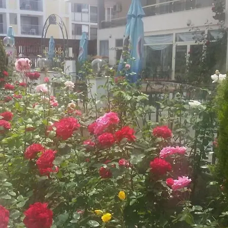 Golden Dune Отель 4*