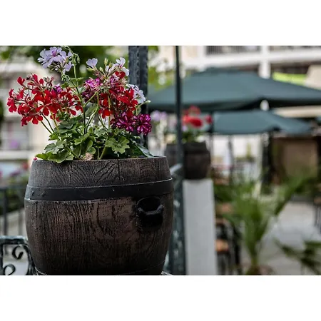 Golden Dune Hotel Słoneczny Brzeg