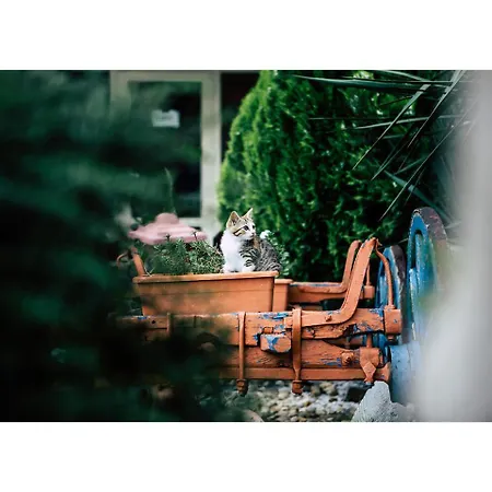 Golden Dune Отель 4*