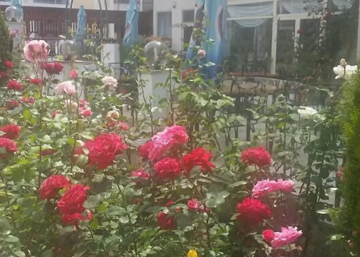 Golden Dune Szálloda 4*