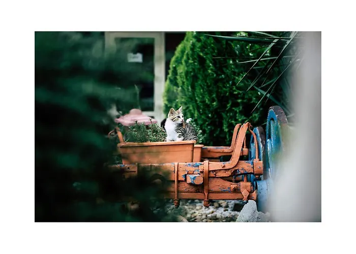 Golden Dune Szálloda 4*