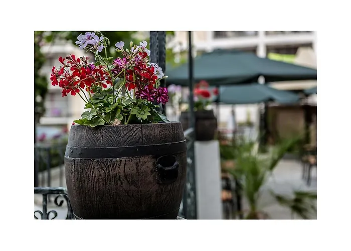 Golden Dune ホテル サニービーチ